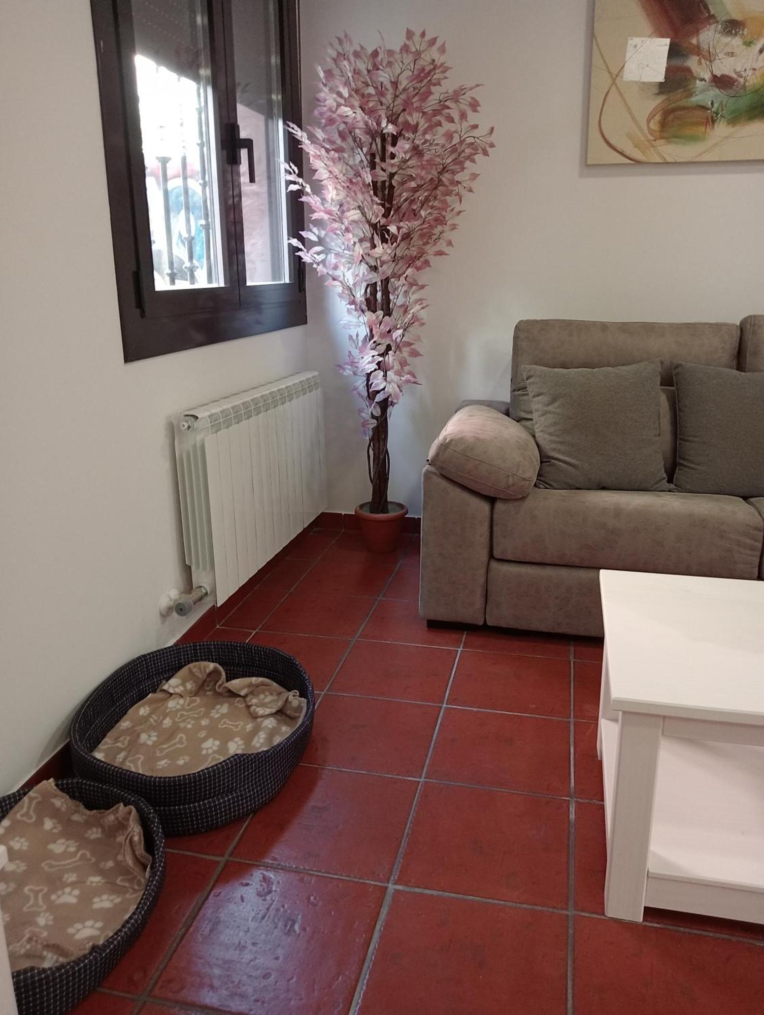 Apartamentos La Piedra En Pleno Centro Historico Con Dos Dormitorios Y Dos Banos Nájera Екстериор снимка
